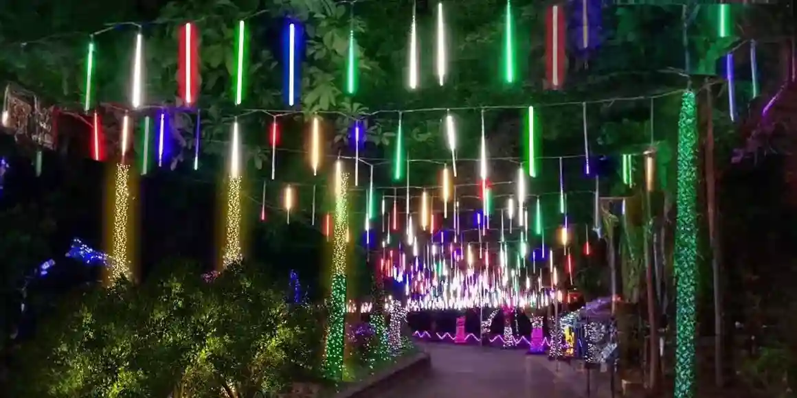 Solar Christmas Lights